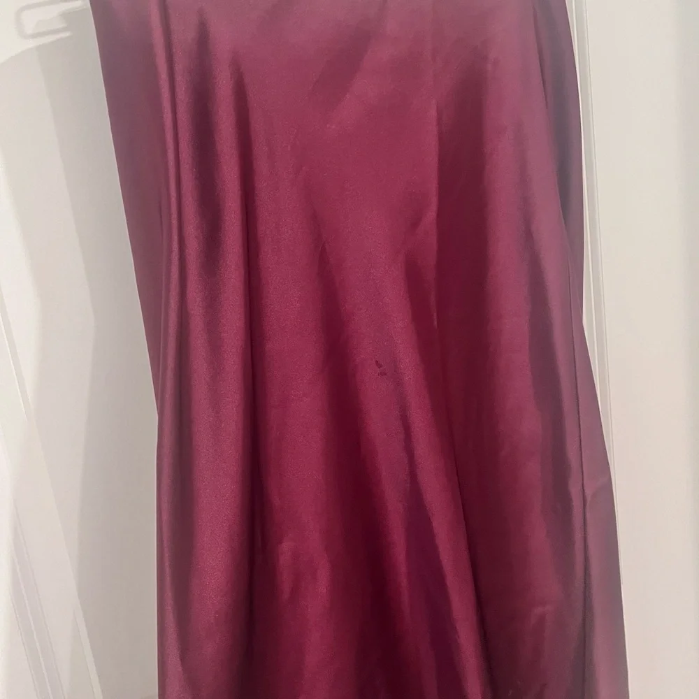 Zara Deep Burgundy Maxi Skirt - Picture 4 of 7